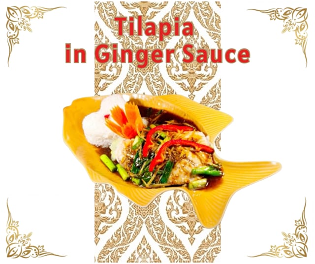 Tilapia in Ginger Sauce.